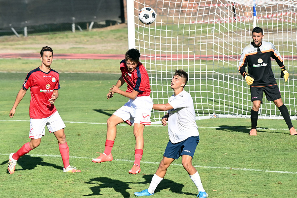 garavini giocatore mezzolara calcio