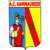 logo Sammaurese