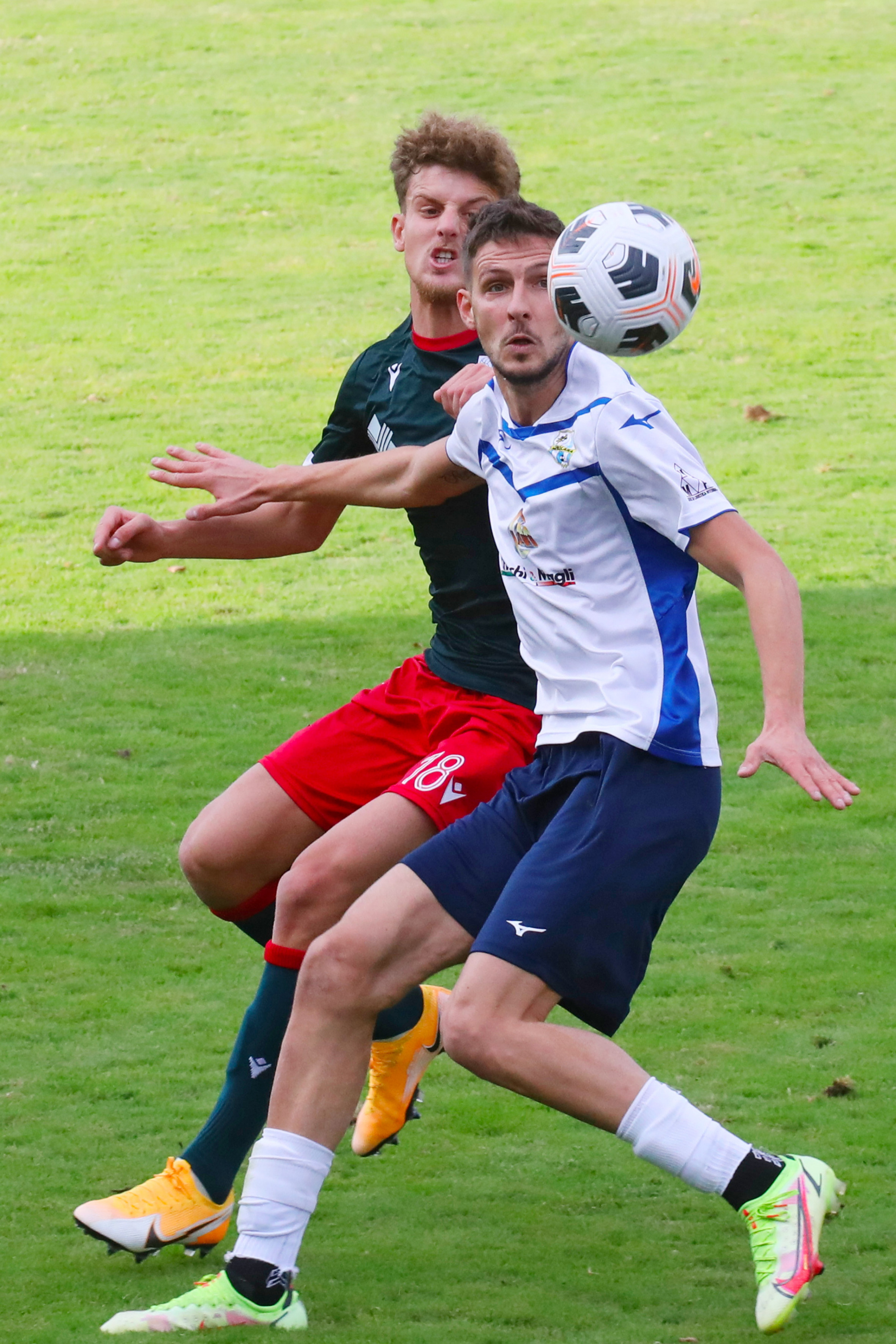 cortesi giocatore mezzolara calcio